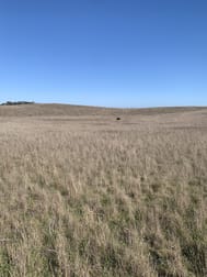 Proposed Portion 322 Netherton Road Peake SA 5301 - Image 1