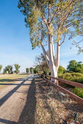 177 Purgatory Road Cobram VIC 3644 - Image 3