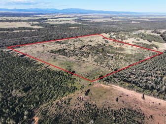 516 Jacks Creek Road Narrabri NSW 2390 - Image 2