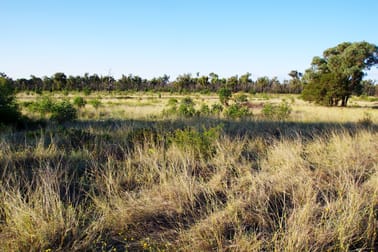 516 Jacks Creek Road Narrabri NSW 2390 - Image 3