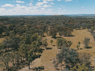 Lot 1 Stanthorpe Inglewood Road Stanthorpe QLD 4380 - Image 3
