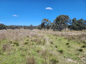 Lot 1 Stanthorpe Inglewood Road Stanthorpe QLD 4380 - Image 1