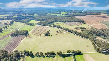 124 Circular Creek Rd Stanley VIC 3747 - Image 1