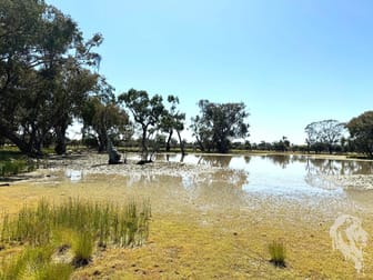 1503 Werah Creek Road Wee Waa NSW 2388 - Image 1