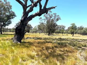 1503 Werah Creek Road Wee Waa NSW 2388 - Image 3