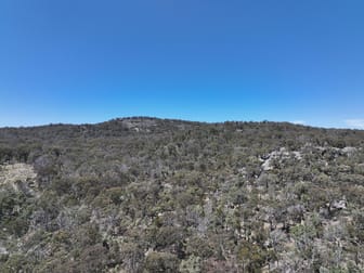 Lot 1 Brusharbers Road Tenterfield NSW 2372 - Image 1