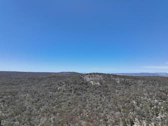 Lot 1 Brusharbers Road Tenterfield NSW 2372 - Image 2