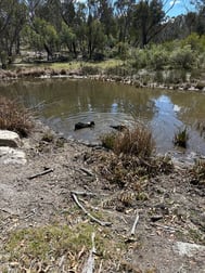 Lot 1 Brusharbers Road Tenterfield NSW 2372 - Image 3