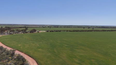 11006/ Taylor Road Latham WA 6616 - Image 2