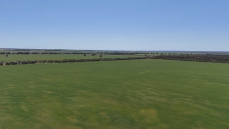 11006/ Taylor Road Latham WA 6616 - Image 3