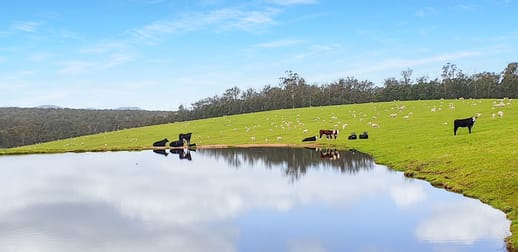 151 Wattle Hill Road Buchan South VIC 3885 - Image 1