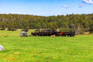 Click to view all images 151 Wattle Hill Road Buchan South VIC 3885 - Image 3