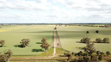 163 Holzigals Road Finley NSW 2713 - Image 2