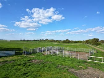 90 Scouller Street Birregurra VIC 3242 - Image 3