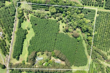 120 Alstonvale Road Alstonvale NSW 2477 - Image 2