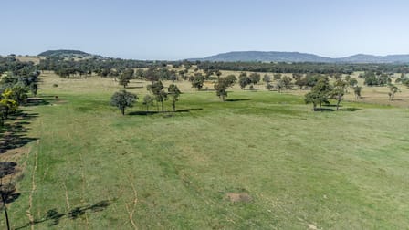 'Bullarook' 188 Bullarook Rd Coolah NSW 2843 - Image 2