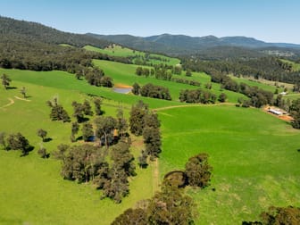 769 Buxton Marysville Road Marysville VIC 3779 - Image 1