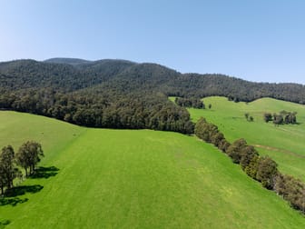 769 Buxton Marysville Road Marysville VIC 3779 - Image 3