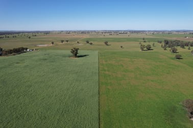 Forbes NSW 2871 - Image 1