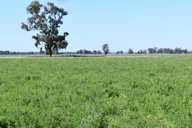 Forbes NSW 2871 - Image 3