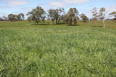 Lot/11 Casterton Apsley Road Apsley VIC 3319 - Image 1