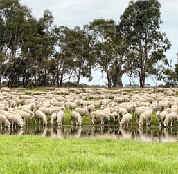 Click to view all images Lot/11 Casterton Apsley Road Apsley VIC 3319 - Image 1