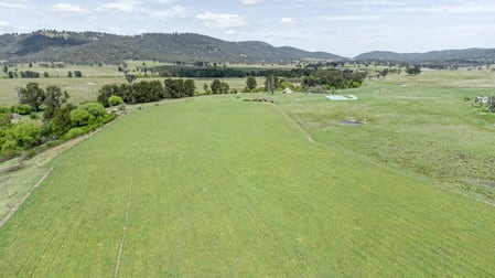 1301 Watsons Creek Road Bendemeer NSW 2355 - Image 2