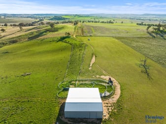272 Rossi Road Boorowa NSW 2586 - Image 3
