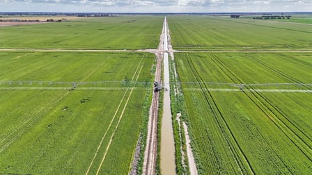 427 Phillips Road Myall VIC 3579 - Image 2