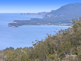 4860 Arthur Highway Eaglehawk Neck TAS 7179 - Image 2