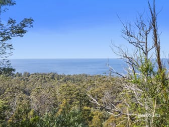 4860 Arthur Highway Eaglehawk Neck TAS 7179 - Image 3