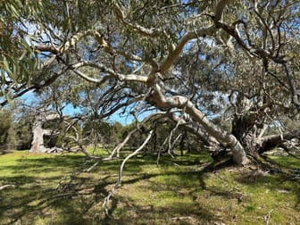 Sec 82 & 1 Windemere Road Mount Drummond SA 5607 - Image 1
