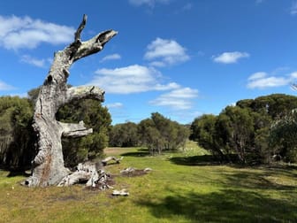 Sec 82 & 1 Windemere Road Mount Drummond SA 5607 - Image 2