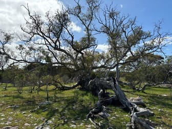 Sec 82 & 1 Windemere Road Mount Drummond SA 5607 - Image 3