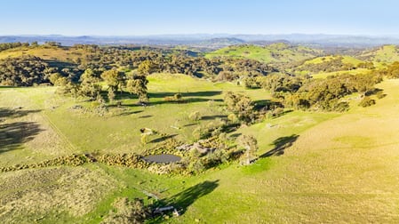 0 Bortolot Road Huon Creek VIC 3691 - Image 1