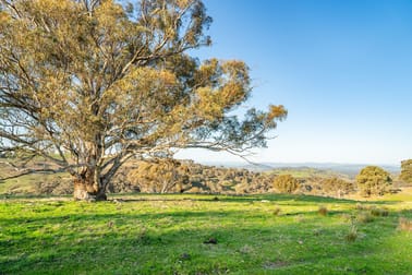 0 Bortolot Road Huon Creek VIC 3691 - Image 3