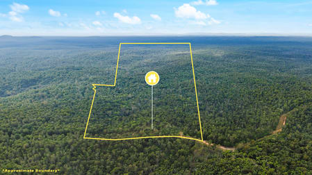 369 Fortis Creek Road Fortis Creek NSW 2460 - Image 1