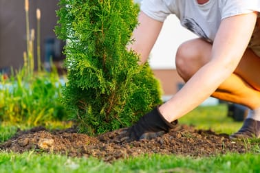 Gardening  business for sale in Mornington - Image 3