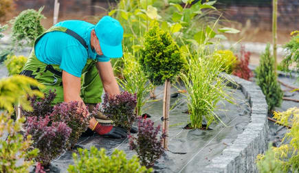Gardening  business for sale in Mornington - Image 1
