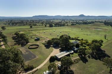 265 Broadhead Road Mudgee NSW 2850 - Image 3