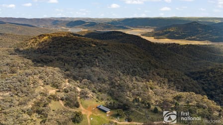 445 Merrendee Road Mudgee NSW 2850 - Image 1