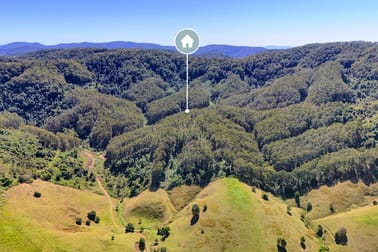 138 & Borhams Road Belbora NSW 2422 - Image 3