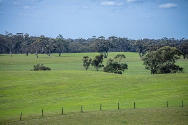 220 Old Stone Tank Road Mundulla SA 5270 - Image 1