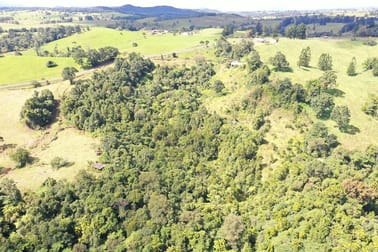 581 Theresa Creek Road Millaa Millaa QLD 4886 - Image 1