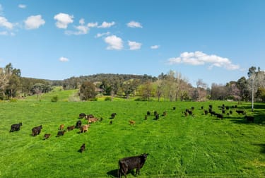 315 Davies Road Warrenbayne VIC 3670 - Image 1