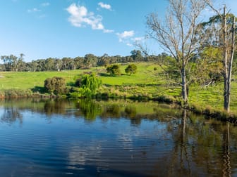 315 Davies Road Warrenbayne VIC 3670 - Image 3