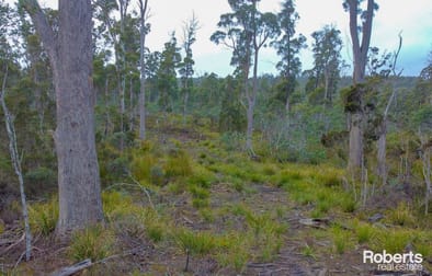 608 Lilydale Road Underwood TAS 7268 - Image 1