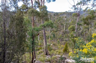 608 Lilydale Road Underwood TAS 7268 - Image 2