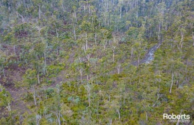 608 Lilydale Road Underwood TAS 7268 - Image 3