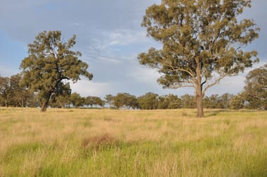 51 Queen St Bunnan NSW 2337 - Image 1
